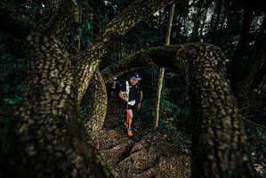 BIB: 
                            <button type="button" onclick="openModal(25702857)" class="btn btn-primary btn-sm float-right btn-popup" data-toggle="modal" data-target=".modal-high-quality">
                        <i class="fas fa-shopping-cart"></i> Add to Cart
                    </button>
                                            <button type="button" onclick="isThisMe(25702857, true)" class="btn btn-success btn-sm float-right btn-popup btn-isme hidden" data-toggle="tooltip" data-placement="bottom" title="นี่คือรูปของคุณใช่ไหม คลิกที่นี่เพื่อเอาเข้าอัลบั้ม">
                        <i class="fas fa-plus"></i> Add to album
                    </button>
                    <button type="button" onclick="isThisMe(25702857, false)" class="btn btn-warning btn-sm float-right btn-popup btn-isnotme hidden">
                        <i class="fas fa-ban"></i> Remove from album
                    </button>